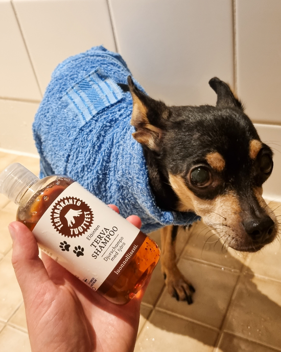 Tar shampoo for animals