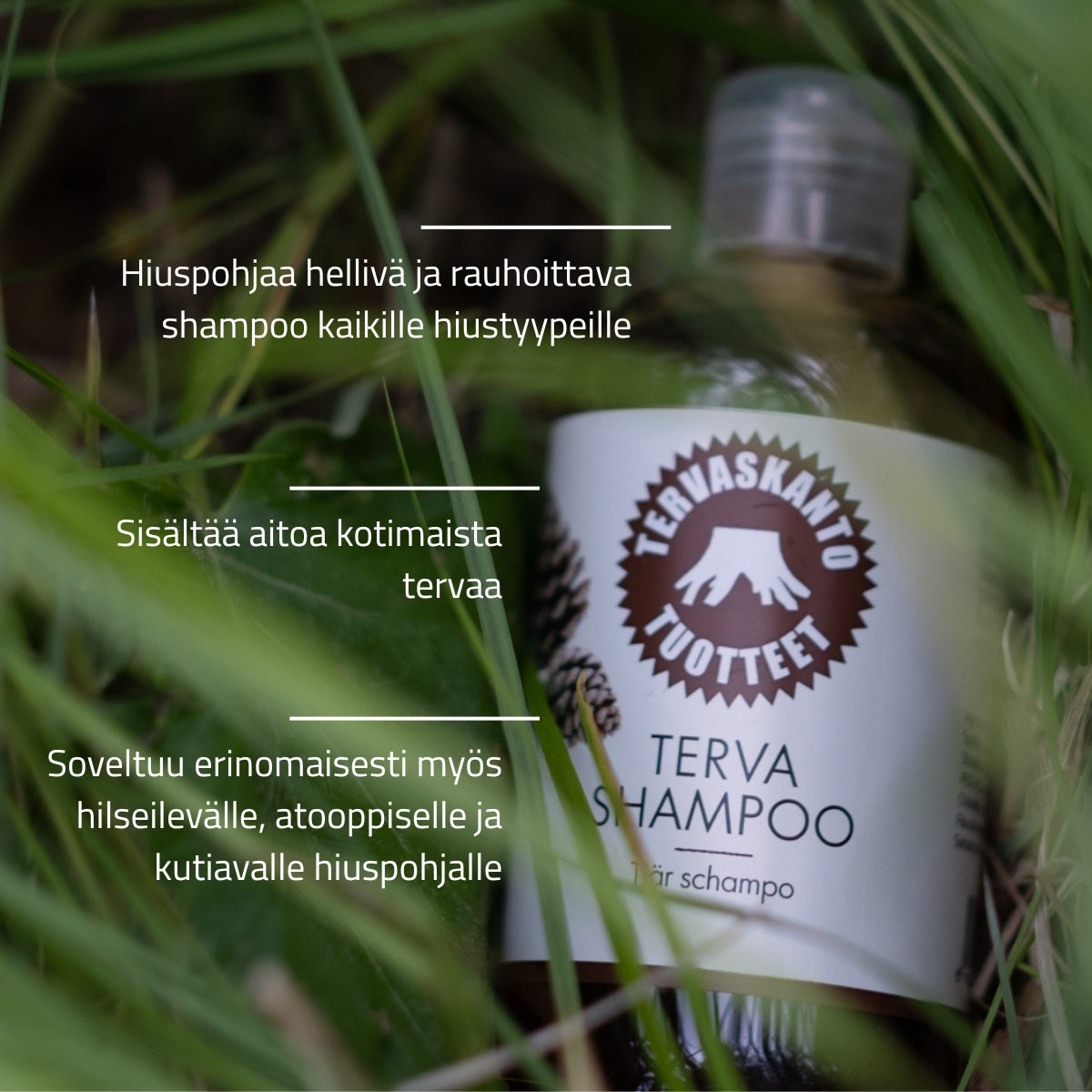 Tervashampoo