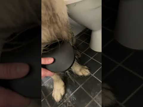 Lataa ja toista video, Eläinten Tervashampoo 250 ml
